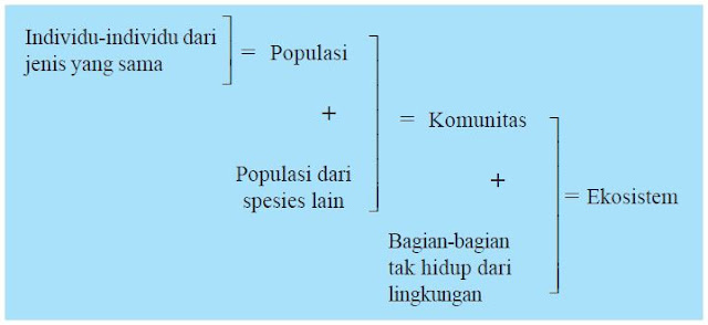 Interaksi dalam Ekosistem 