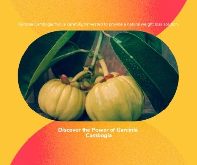 Guarana for Weight Loss, Energy & Focus: What You Should Know