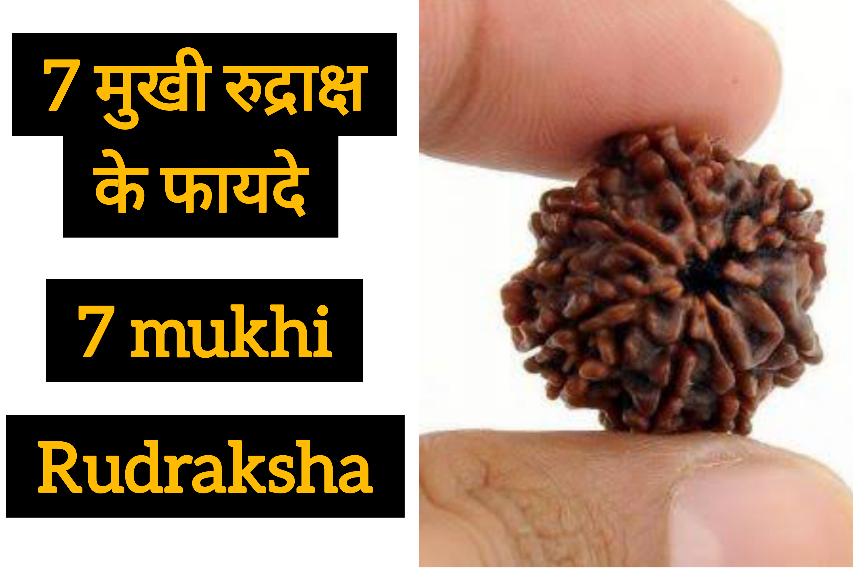7 mukhi rudraksha ke fayde in hindi