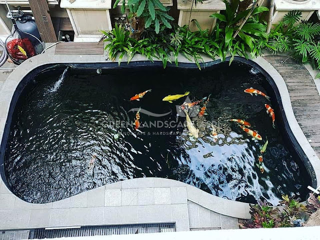 Tukang Kolam Koi Ogan Ilir - Pembuatan Kolam Minimalis Berkualitas
