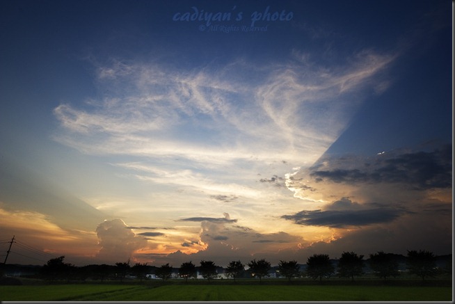 D700_2012-07-29_022