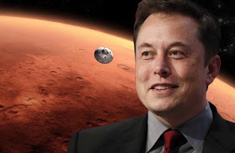 Coronavirus, Elon Musk attacca il lockdown: 'Decreto fascista'