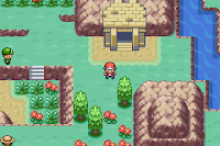 Pokemon Nature Red Screenshot 04