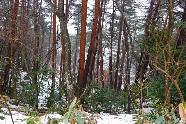 鳥取県西伯郡伯耆町丸山 ロイヤルシティ大山