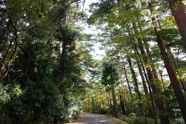 鳥取県西伯郡伯耆町丸山　ロイヤルシティ大山　赤松の森