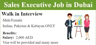 Sales Executive Job Vacancy for Electronic Products in JVC, Dubai.