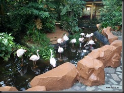 Langkawi Wildlife Park