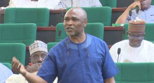 Reps To "Punish" Lawmaker Over Call For Buhari's Impeachment