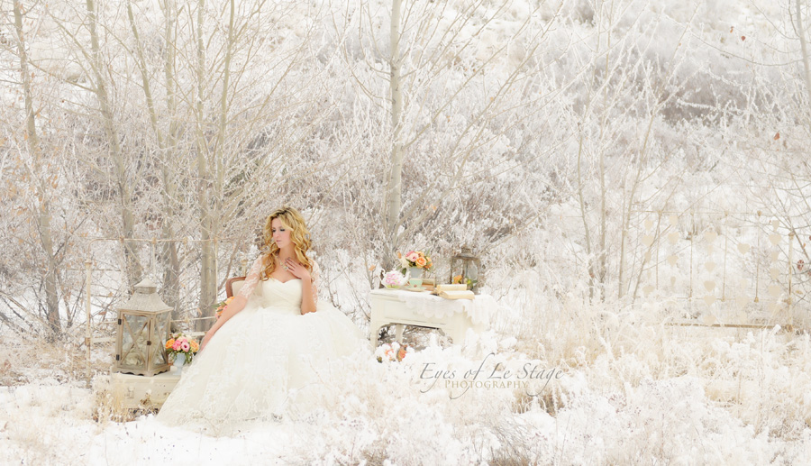 A spontaneous winter wedding portrait session featuring the delicate beauty