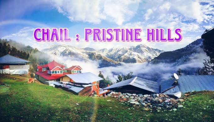 Chail: Unveiling the Serene Hill Station of Himachal Pradesh