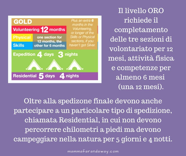 livello oro