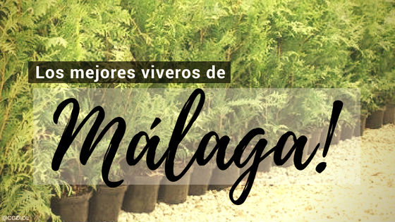 Comprar plantas online en Málaga