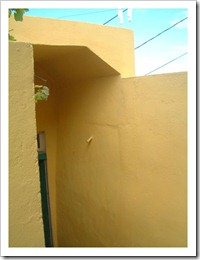 DSCF3528