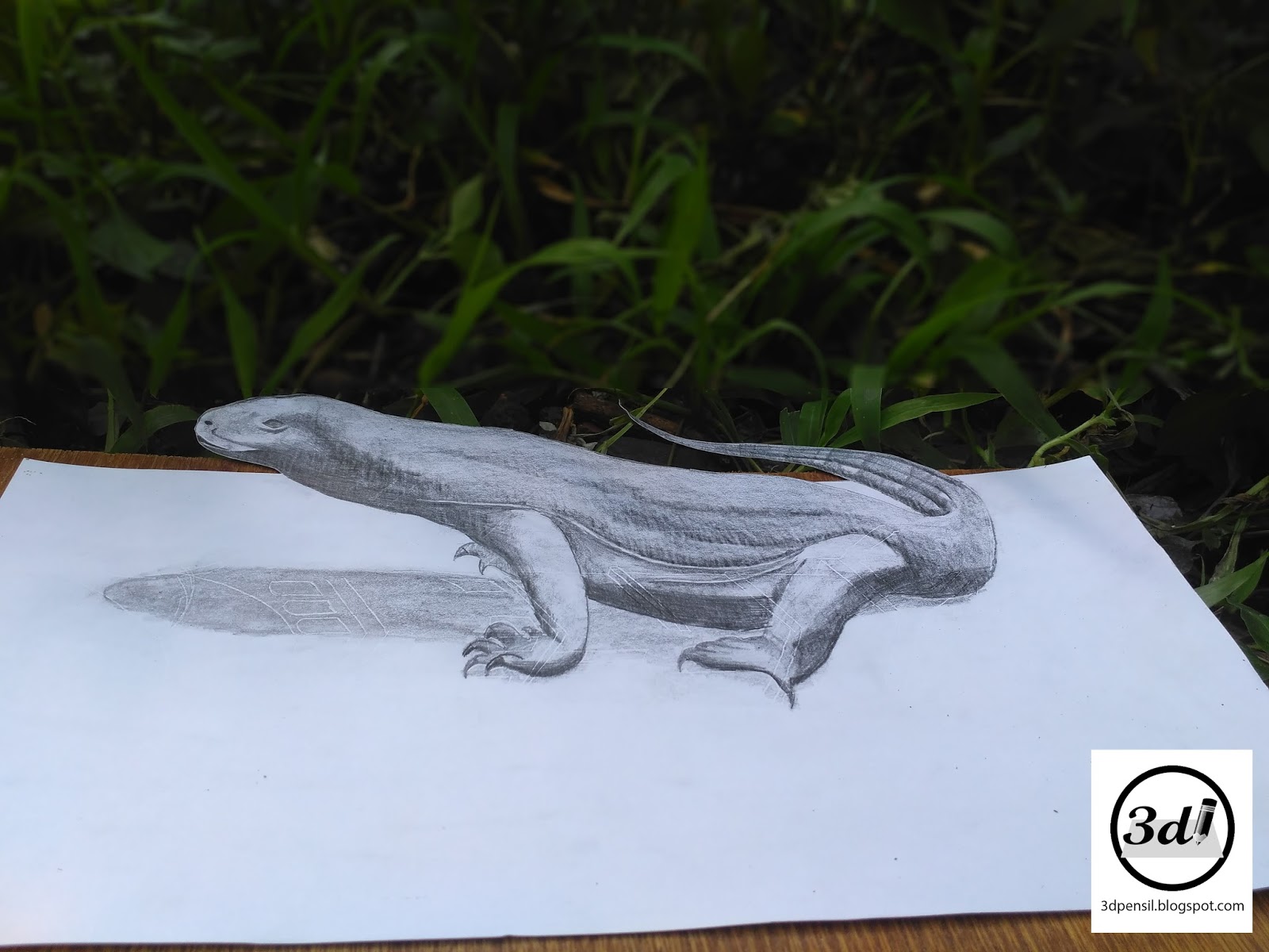 Cara Membuat Gambar Komodo 3 Dimensi 3d Pensil