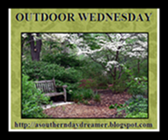 OutdoorWednesdaylogo5454444
