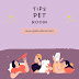 Tips Membuat Pet Room Kucing 