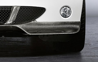 BMW Front splitter in carbon