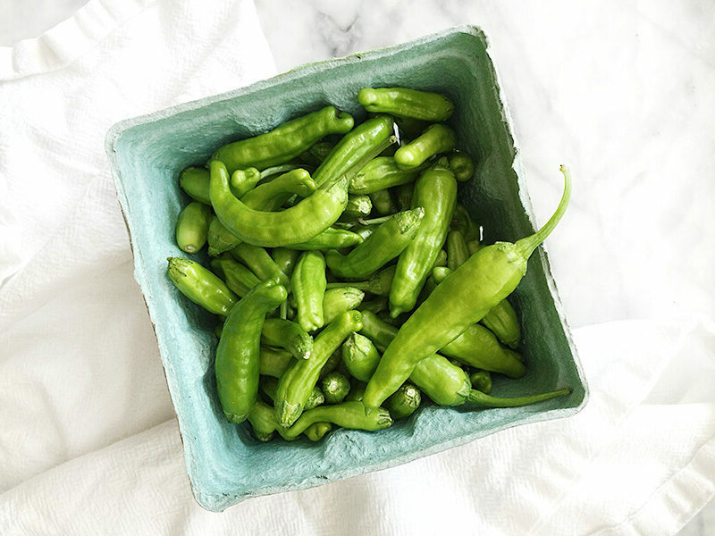 Recipe for Sautéed Shishito Peppers