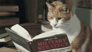 Animasi Kucing Bergerak Membaca Buku