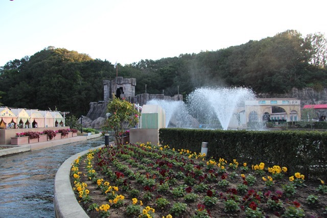 IMG_8411 IMG_8411