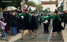 fête mimosa Saint-Trojan-les-Bains (17)