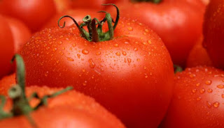 Gambar Buah Tomat