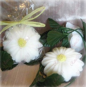 WBDaisysoap
