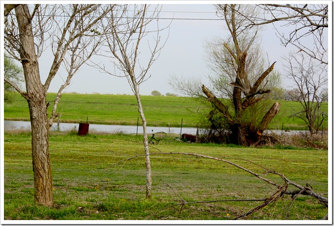 IMG_0182 copy