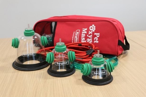 Pet oxygen masks of various sizes