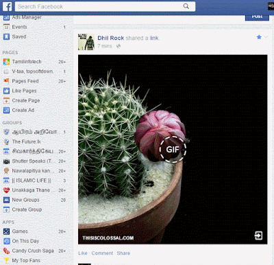facebook gif அசைவூட்டம் படங்கள்