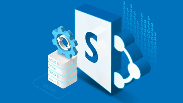   The Diverse Purposes of SharePoint Development