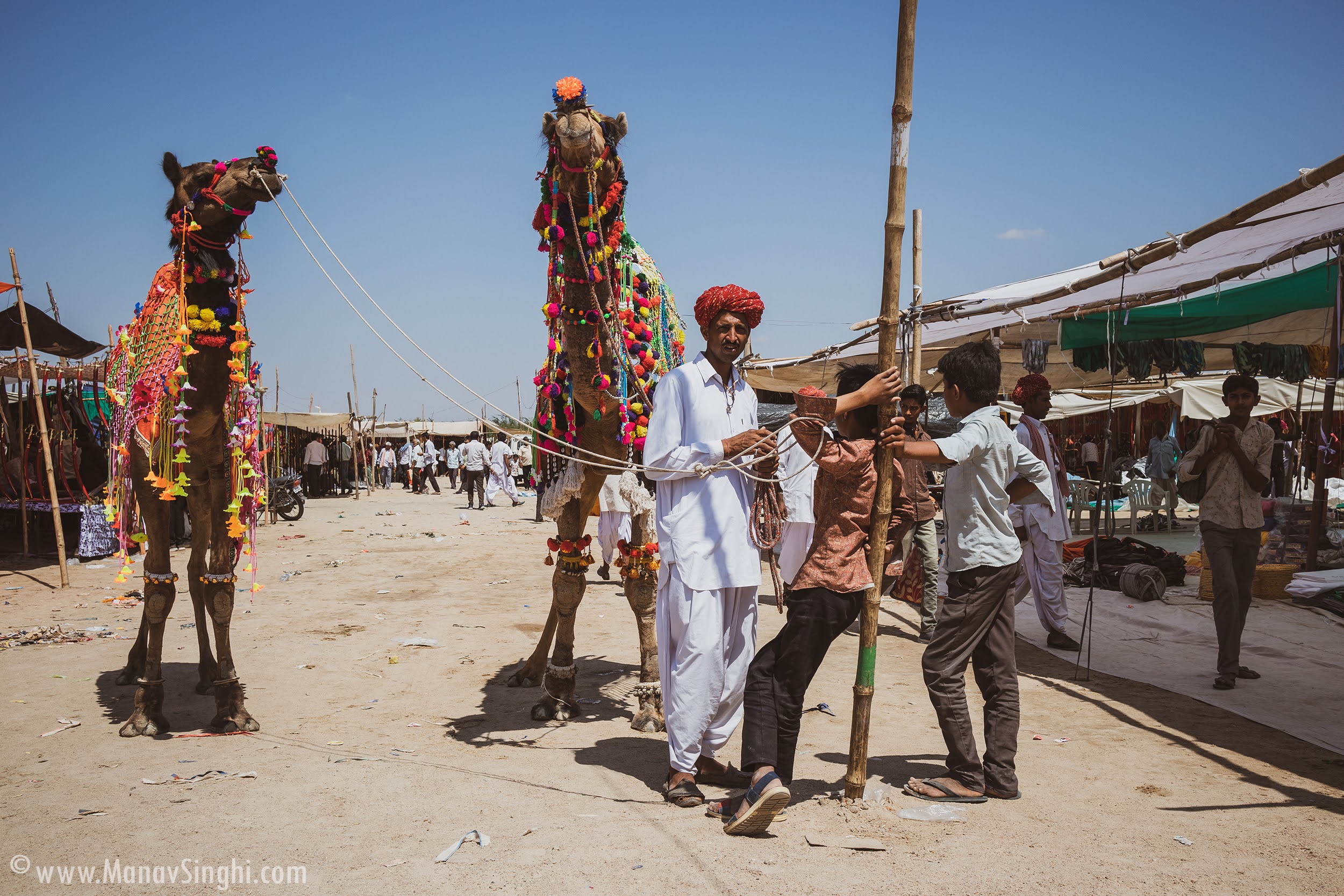 The Mallinath Cattle Fair, Tilwara 2023 - Biggest Cattle Fair in Rajasthan.