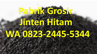 jual jintan hitam habatussauda Cakung Jakarta Timur