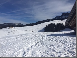 Glières 6