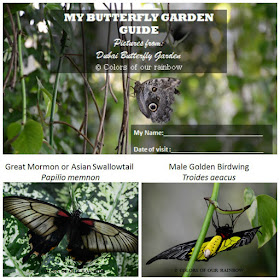 Learning About Butterflies: DUBAI BUTTERFLY GARDEN @http://colorsofourrainbow.blogspot.ae/