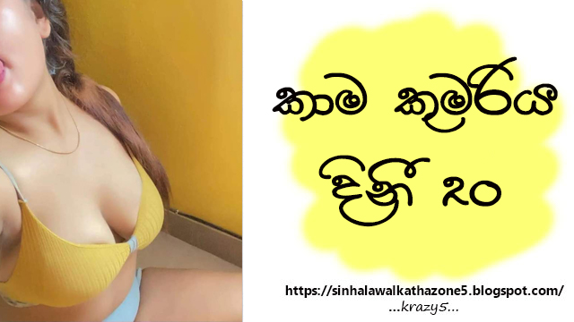 Kamakumariya Dini | කාම කුමරිය දිනී 20