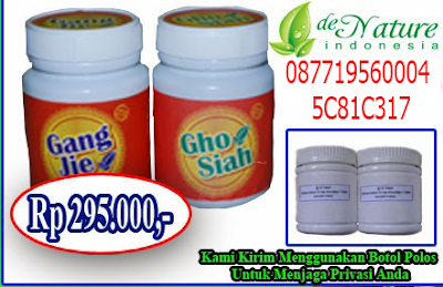 Obat Tradisional Penyakit Sipilis