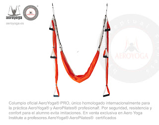 FORMACION PROFESORES AERO YOGA INSTITUTE, UN METODO DE RAFAEL MARTINEZ, INTRODUCTOR DEL YOGA AEREO Y EL PILATES AEREO EN EUROPA Y AMERICA LATINA, SEMINARIOS, TALLERES, CLASES, CURSOS, ESPAÑA, PORTUGAL, MEXICO, ARGENTINA, PARAGUAY, BRASIL, CHILE, PERU, COLOMBIA, COSTA RICA, PANAMA