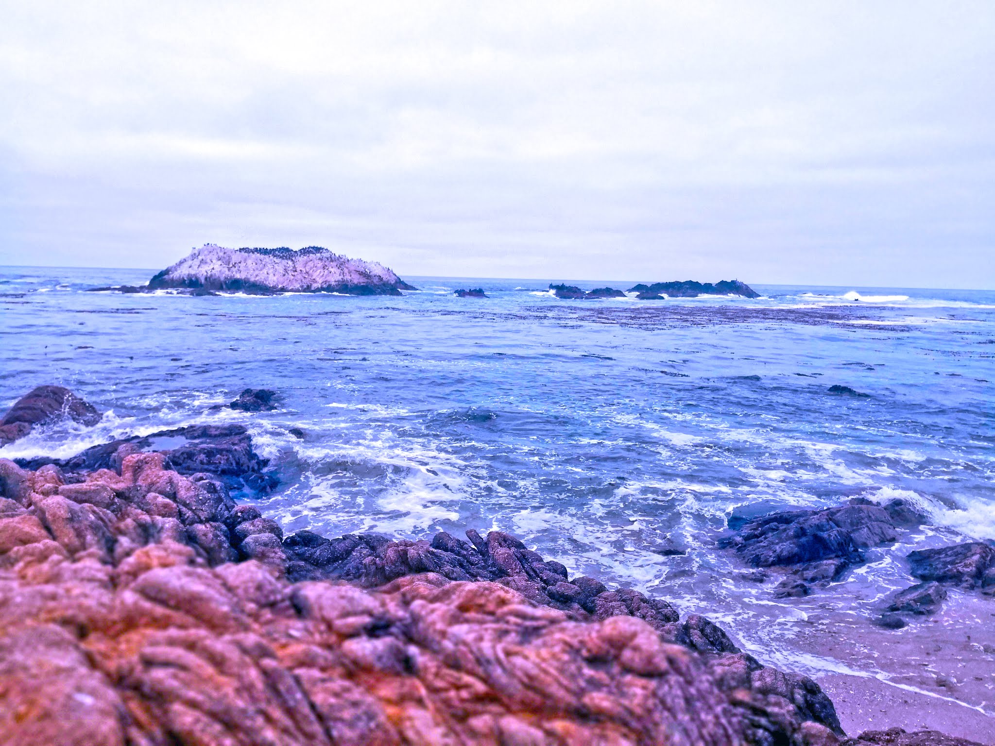 16Travel Western American Scenic 17-Mile Drive Photography Pictures