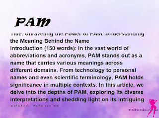 meaning of the name "PAM"