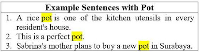 25 Example Sentences with Pot and Its Definition