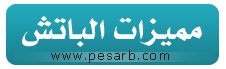 PESARB1