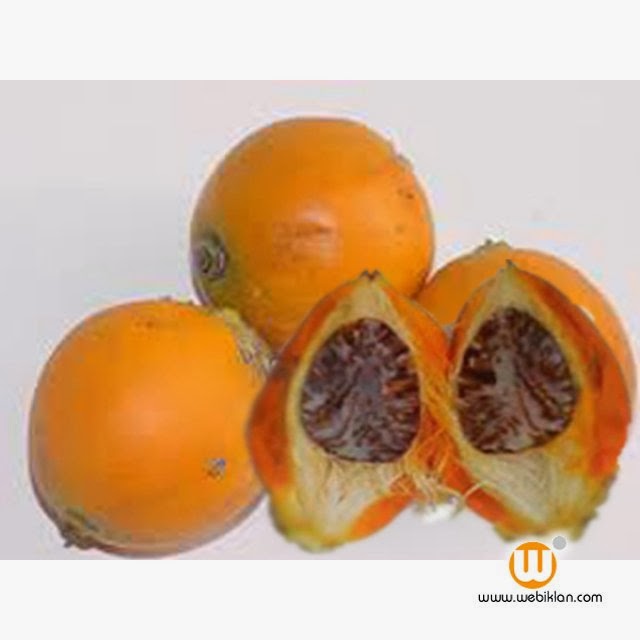 Caraka Purwo Wibisono Mengenal manfaat dan khasiat buah  