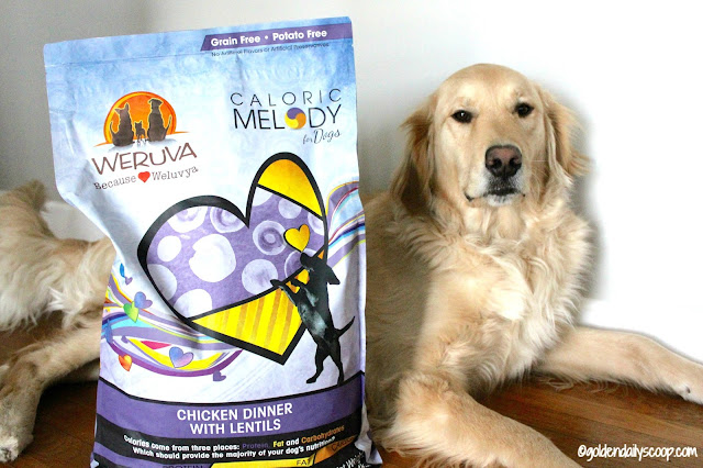Weruva Caloric Melody Healthy Dog Food Review