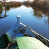 Visita Guiada: LA ALBUFERA