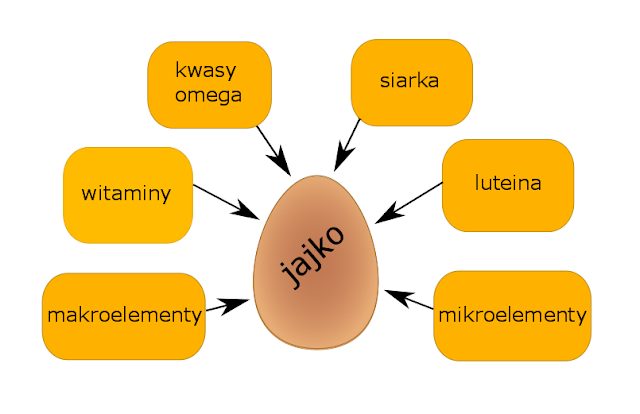 wartości odżywcze jajka 