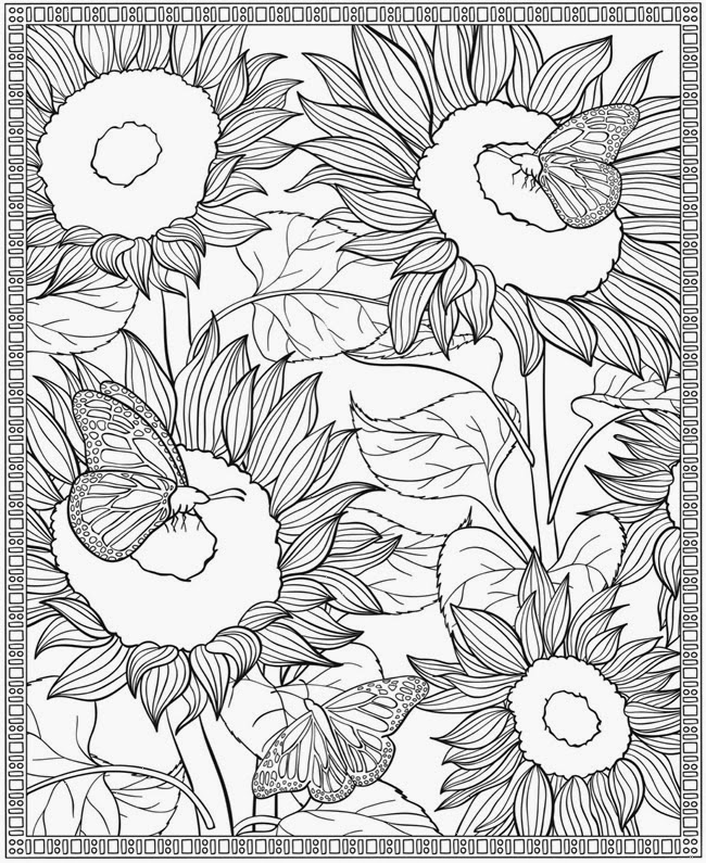 EXPOSE HOMELESSNESS: BUTTERFLIES ON SUNFLOWERS - COLORING PAGE FOR OUR