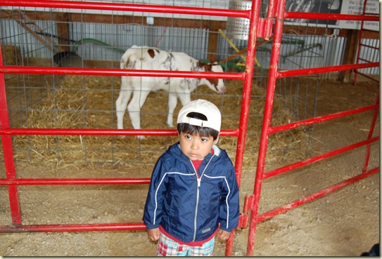 spring 2010 076