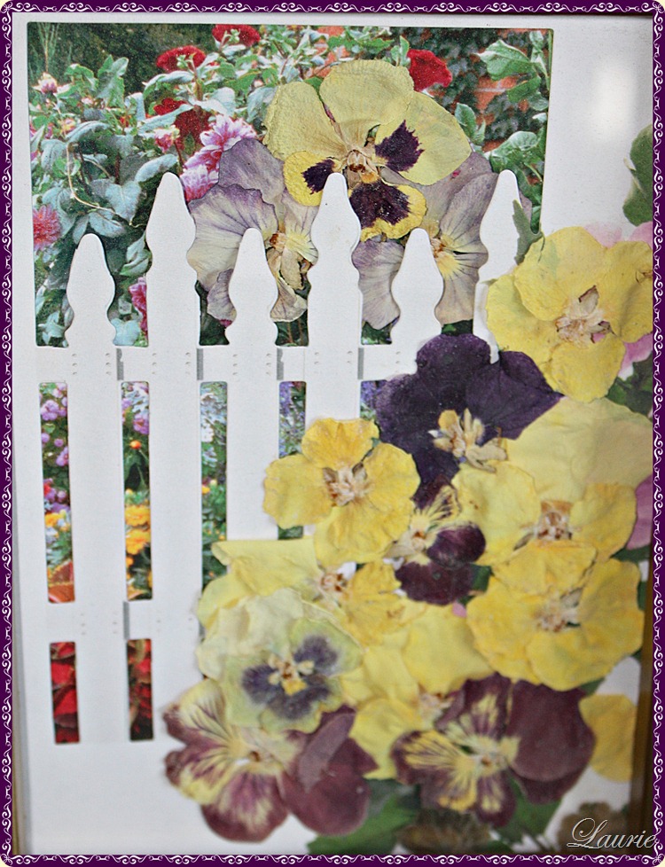 pansies