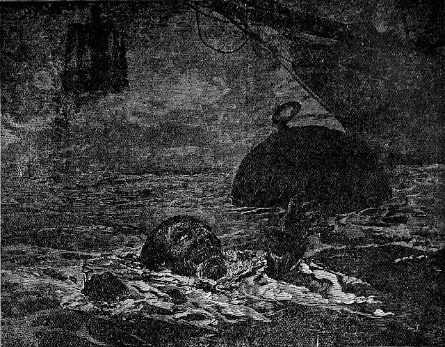 a Charles Green illustration of a drowning man at night